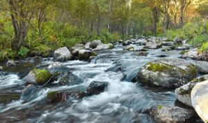 fast-flowing-river kecil