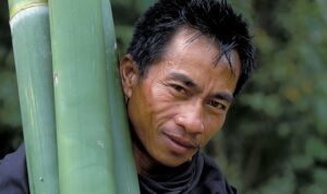 bambu