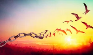 Free Will
